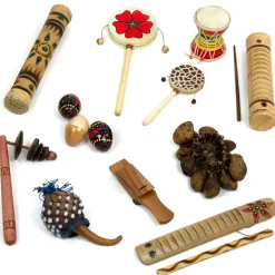 TTS Assorted World Music Instruments Best