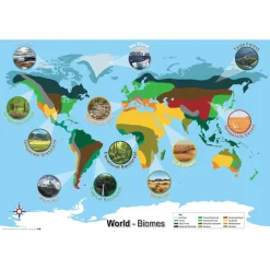 TTS Biomes World Map A1 Hot