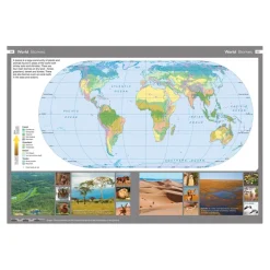 TTS Collins Junior World Atlases KS2 Online