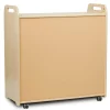 TTS 3 Column Tray Storage inc 15 Deep Translucent Trays Outlet
