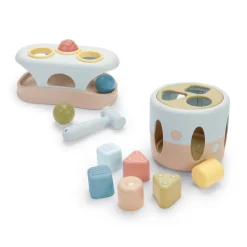 TTS Dantoy TINY Bio Shape Sorter
