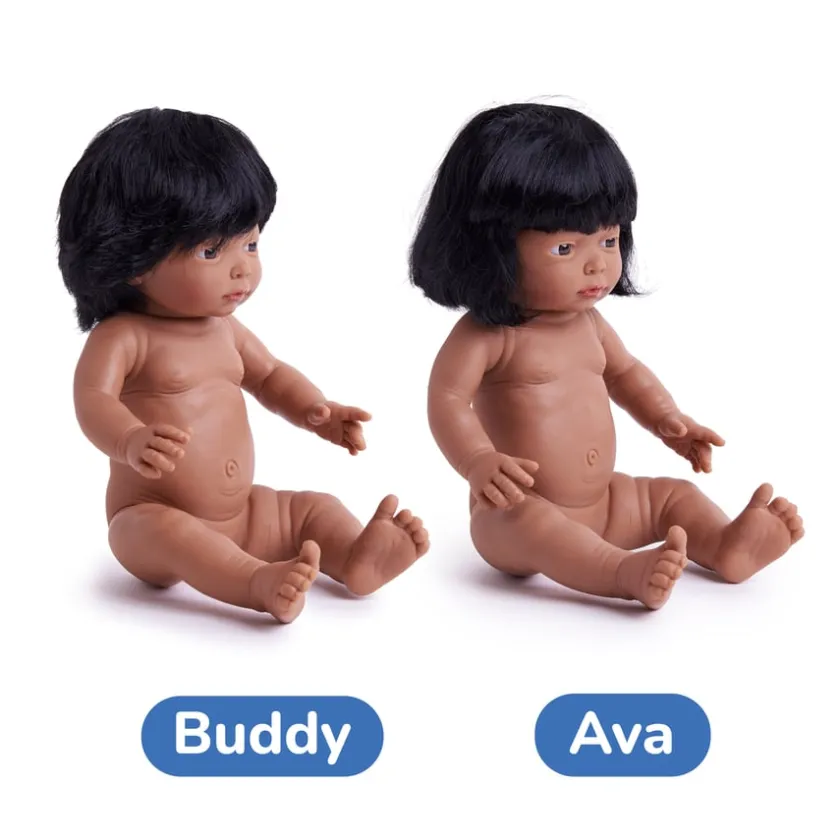 TTS Hard Bodied Dolls New