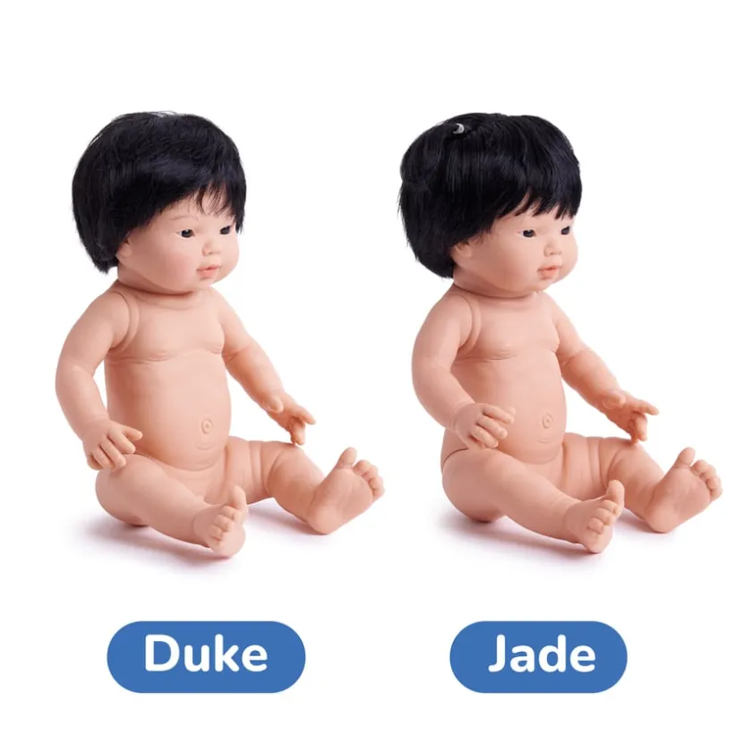 TTS Hard Bodied Dolls New