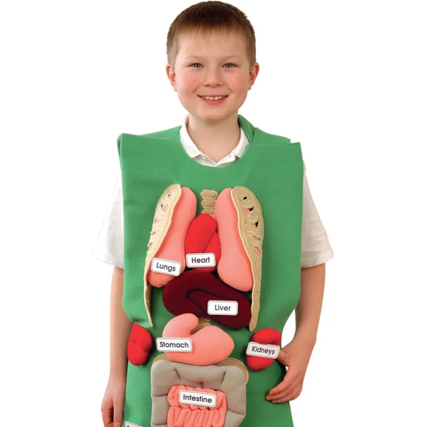 TTS Human Anatomy Tunic Clearance