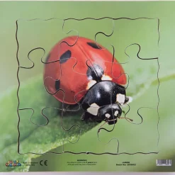 TTS Insect Layered Life Cycle Jigsaw Puzzles 4pk Hot