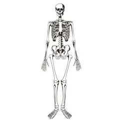 TTS Learning Resources Foam Skeleton Floor Puzzle Best
