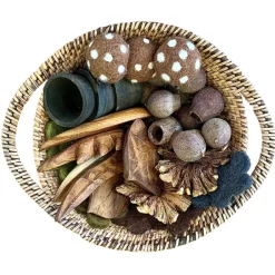 TTS Loose Parts Nature Collection Basket 35pcs Sale
