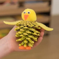 TTS Natural Pine Cones 500g Sale