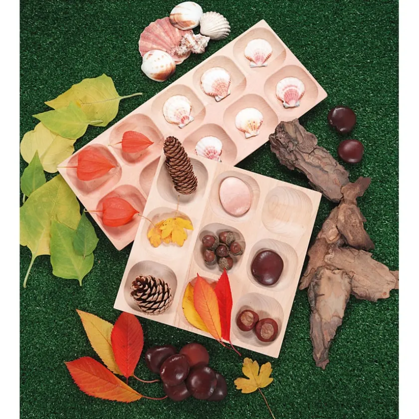 TTS Natural Sorting Tray Hot
