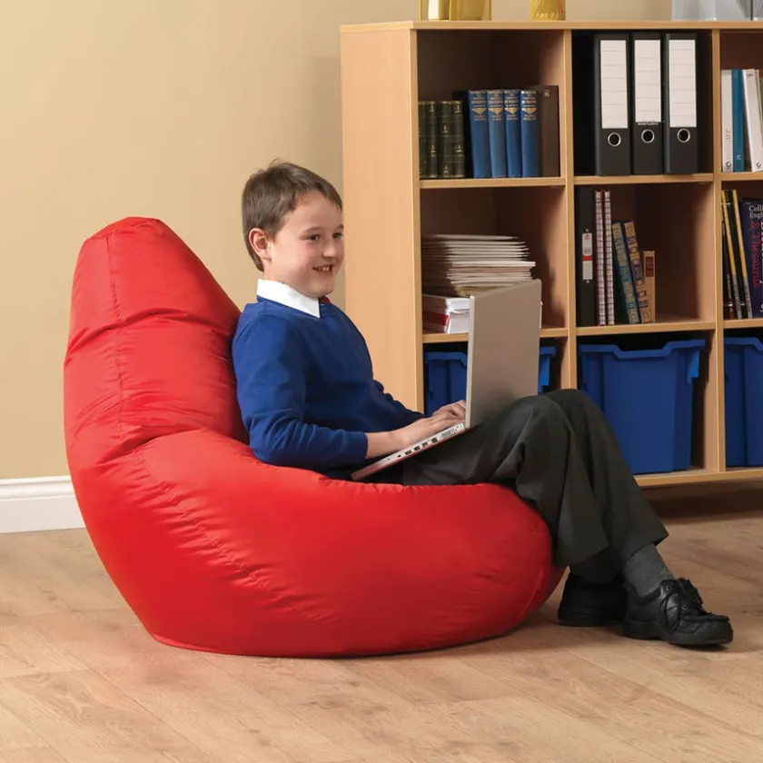 TTS Reclining Bean Bag Pod Chair