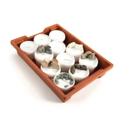 TTS Rock Samples Class 11pk Clearance