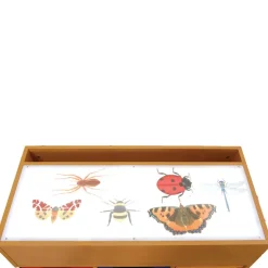 TTS Squidgy Light Box Accessory Kit