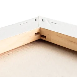 TTS Standard Edged Blank Canvas Online