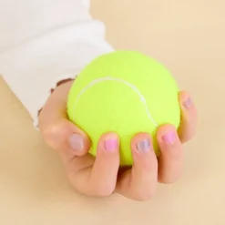 TTS Tennis Balls and Bucket Sale