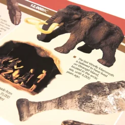 TTS 12,000BC to 2000AD Timeline 4m Best