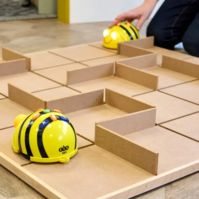TTS Bee-Bot® and Blue-Bot® Changeable Maze Online