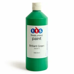 TTS Ready Mixed Paint 500ml Outlet