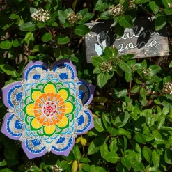 TTS Wellbeing and Calmness Pack with Notes Online