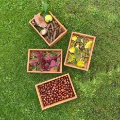 TTS Wooden Sorting Boxes 6pk